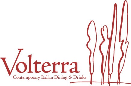 Volterra Logo