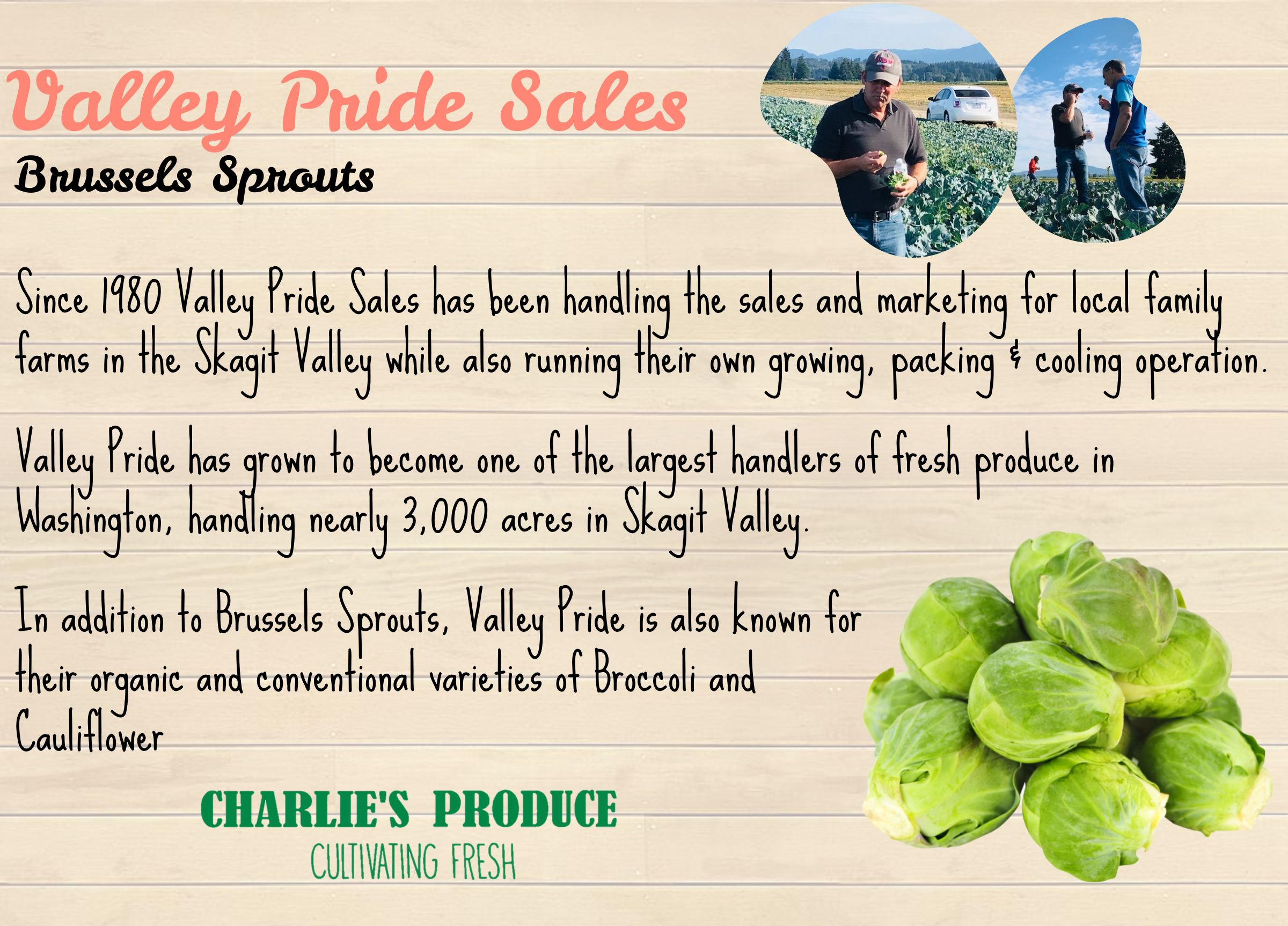 Brussels Valleypride