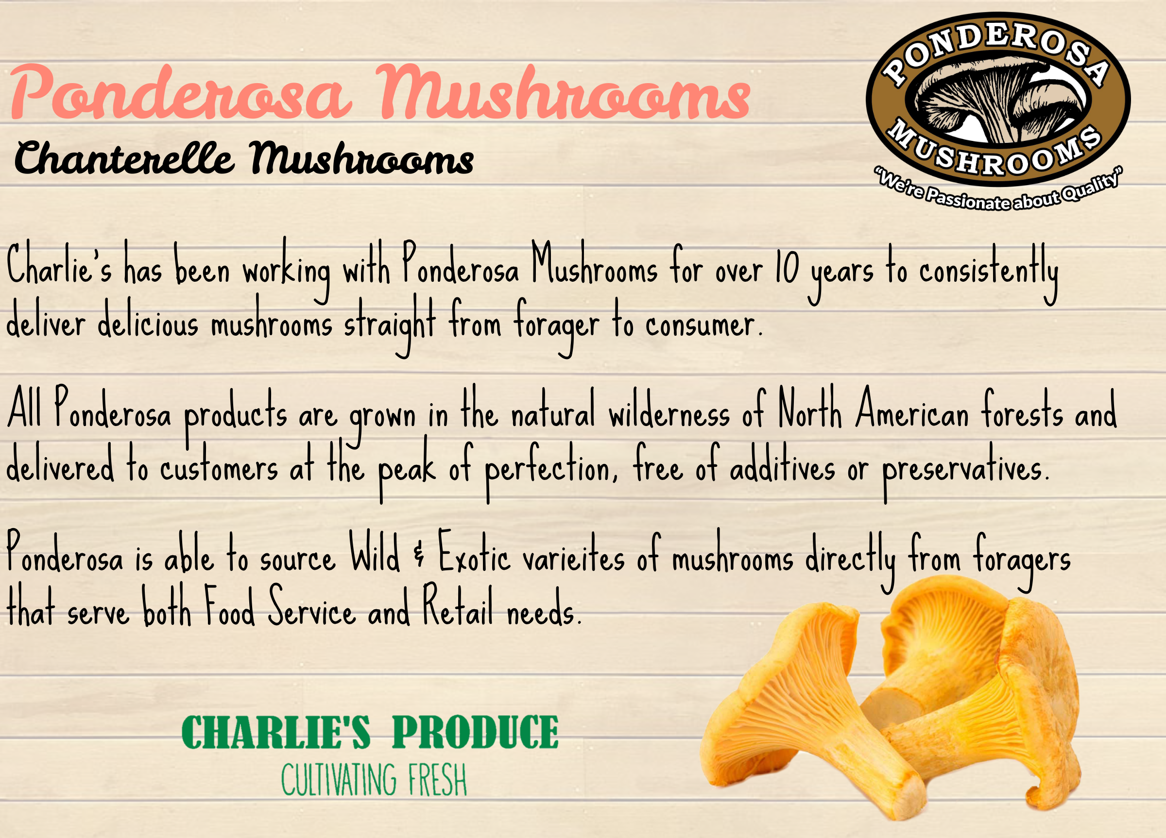 Chanterelle Ponderosa