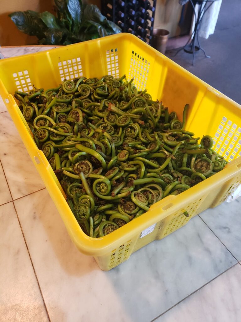 Restaurant Christine revives old staples and focuses on using local and seasonal ingredients, like fiddlehead ferns in springtime. Photo courtesy of Restaurant Christine.